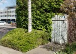 Roffart (thv Van Boshuizenstraat)
              <br/>
              Marcel Westhoff, 2019-04-01